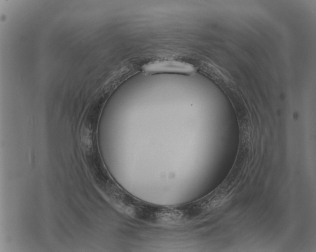 X0000073900215200609011726