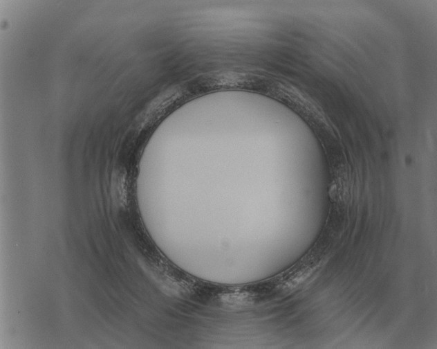 X0000073900216200609011726