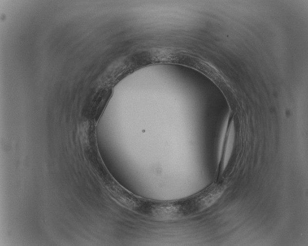 X0000073900217200609011726