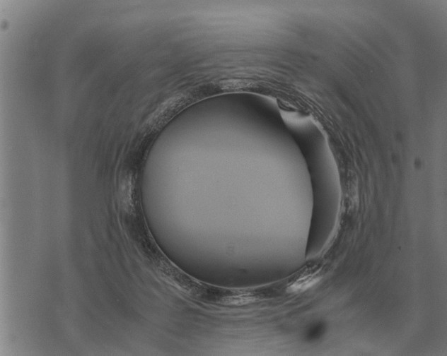 X0000073900219200609011726