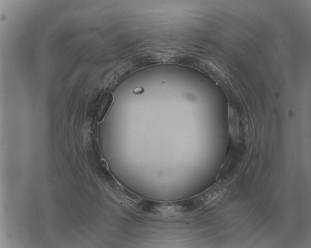 X0000073900221200609011726