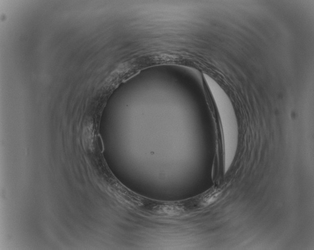 X0000073900223200609011726