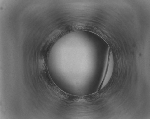 X0000073900224200609011726