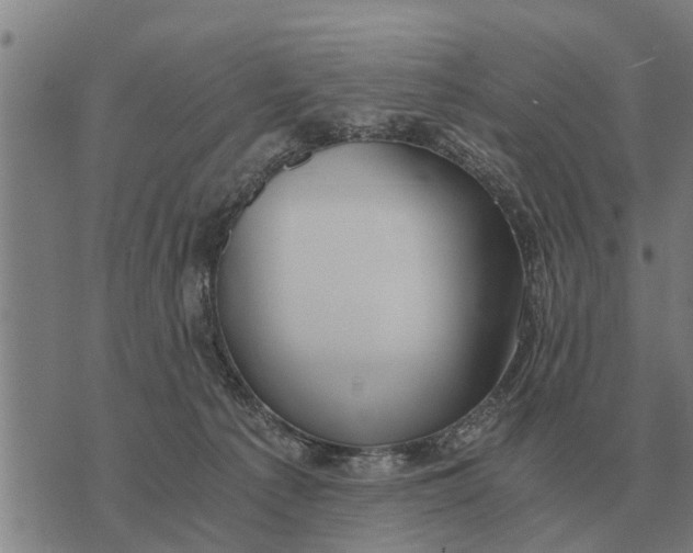 X0000073900225200609011726