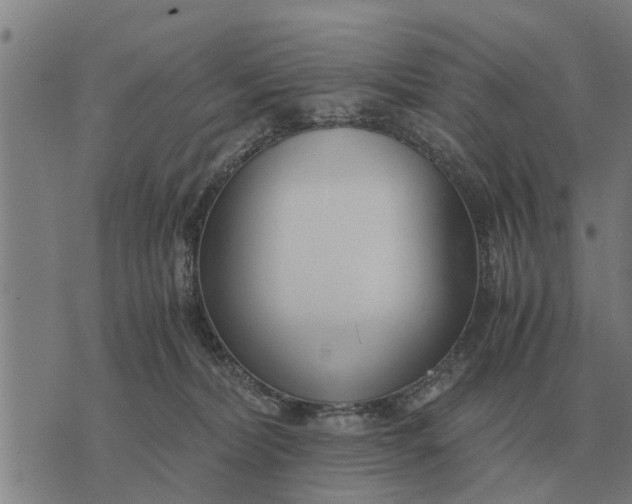 X0000073900228200609011726