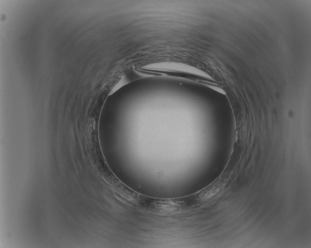 X0000073900229200609011726