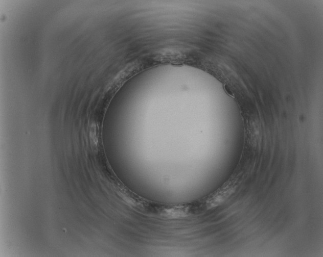 X0000073900232200609011726