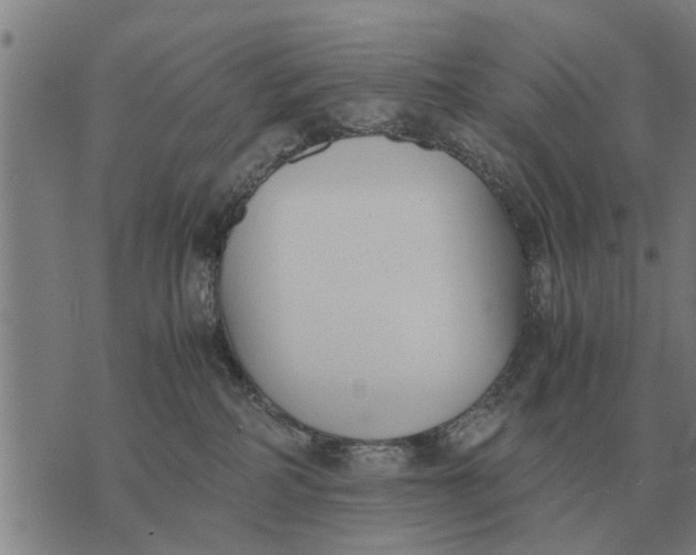 X0000073900234200609011726