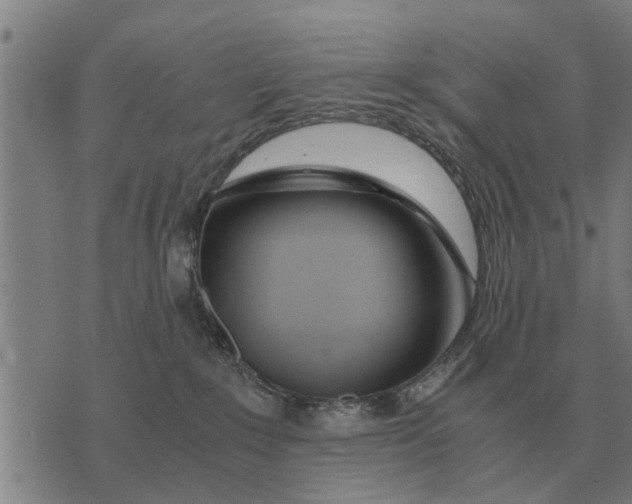 X0000073900235200609011726