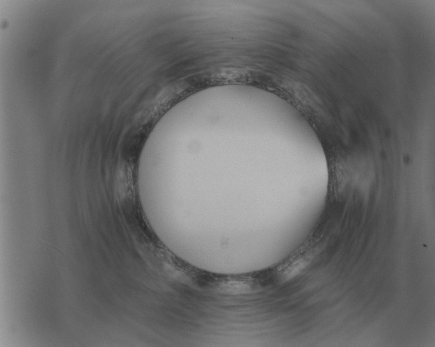 X0000073900236200609011726