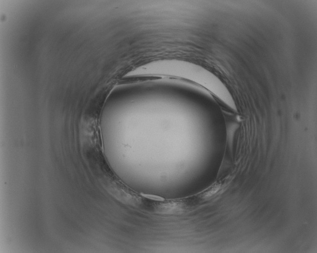 X0000073900237200609011726