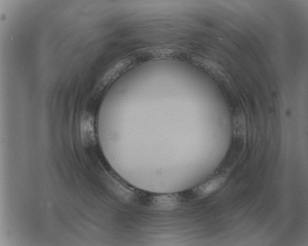 X0000073900238200609011726