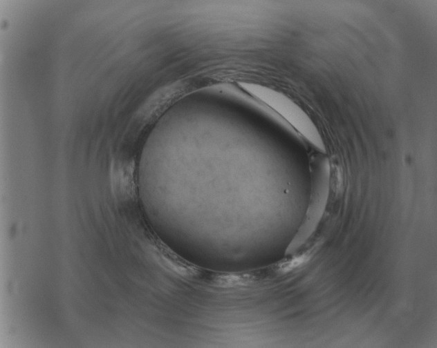 X0000073900239200609011726