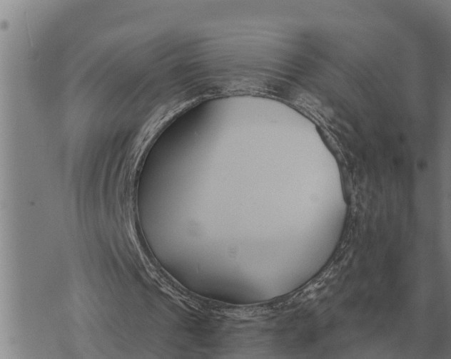 X0000073900241200609011725