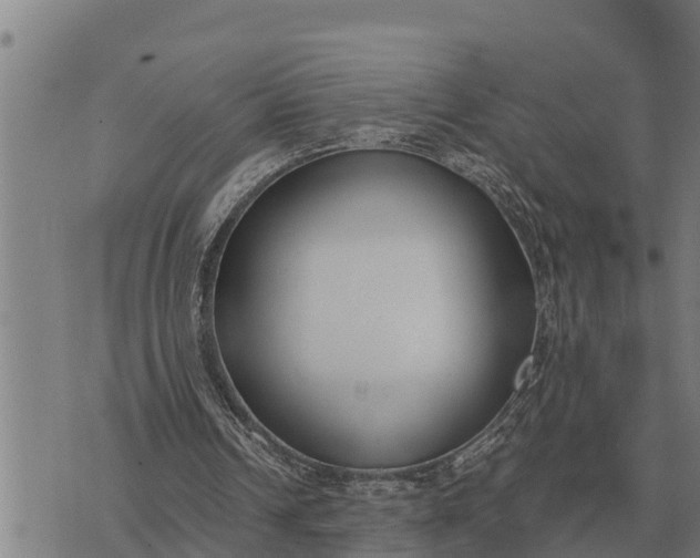 X0000073900242200609011725