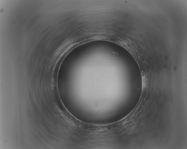 X0000073900243200609011725