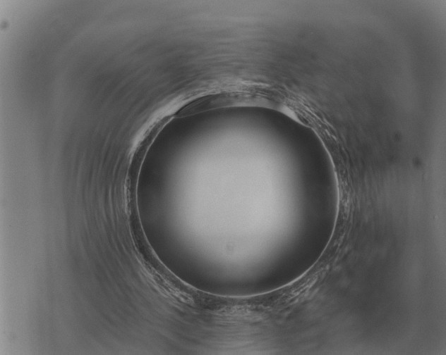 X0000073900244200609011725