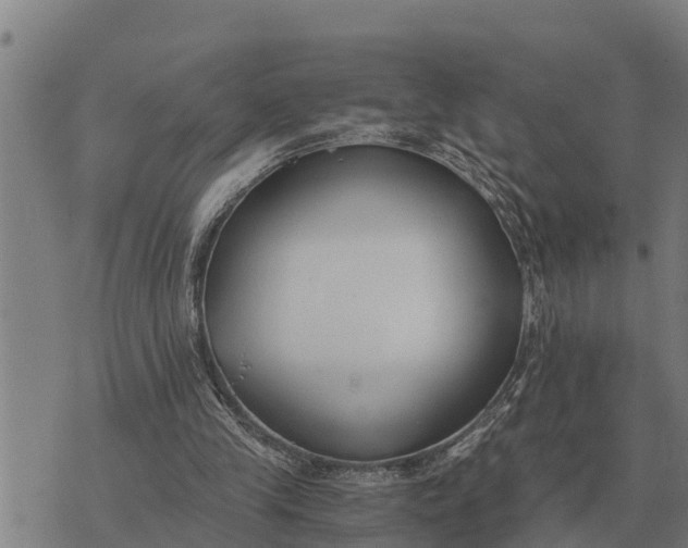 X0000073900245200609011725