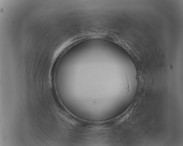 X0000073900246200609011725