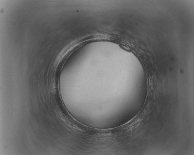 X0000073900247200609011725