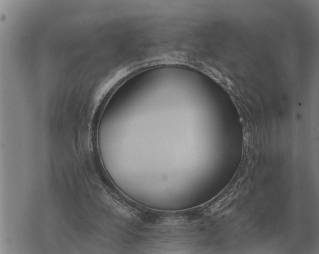 X0000073900248200609011725