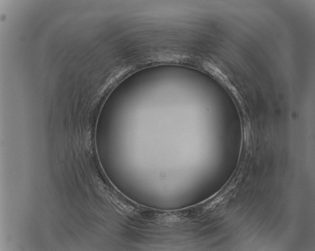 X0000073900249200609011725