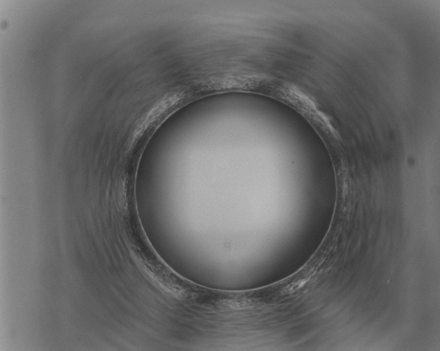 X0000073900250200609011725