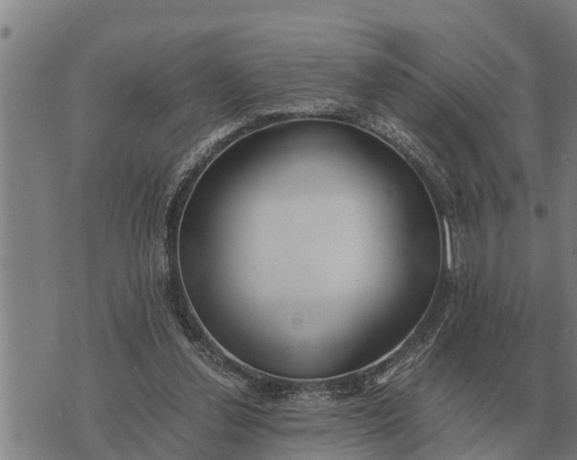 X0000073900252200609011725