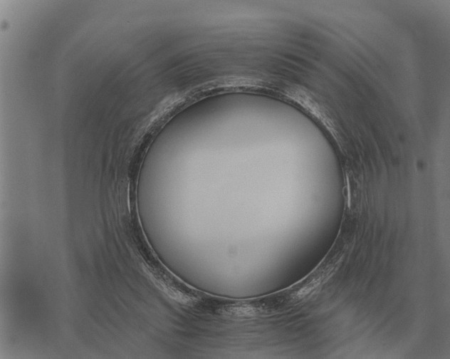 X0000073900253200609011725