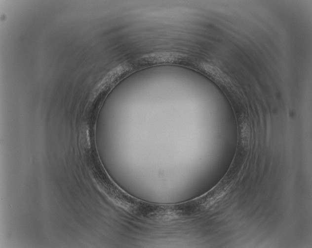 X0000073900254200609011725