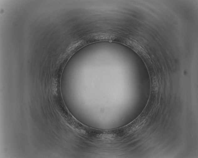 X0000073900255200609011725