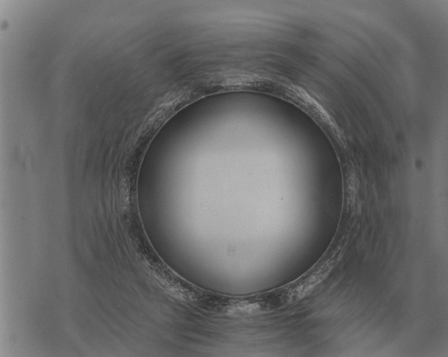 X0000073900257200609011725