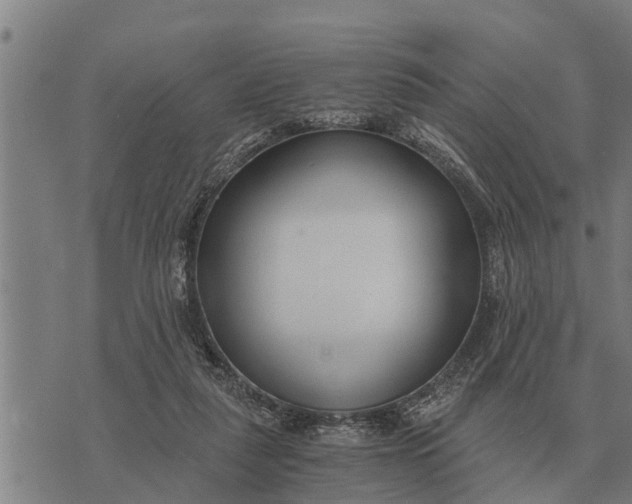 X0000073900259200609011726