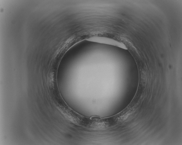 X0000073900260200609011726