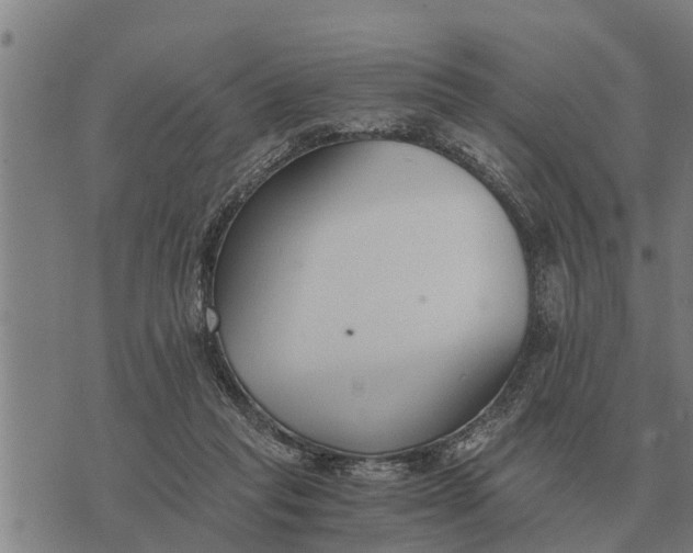 X0000073900261200609011726