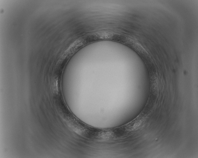 X0000073900262200609011726