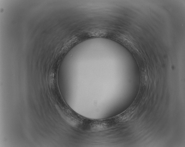 X0000073900263200609011726