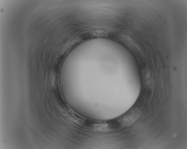 X0000073900266200609011726