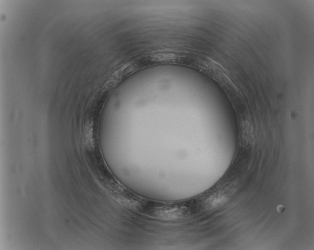 X0000073900267200609011726