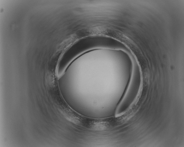 X0000073900268200609011726