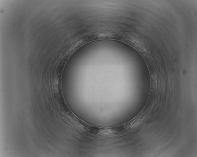 X0000073900269200609011726