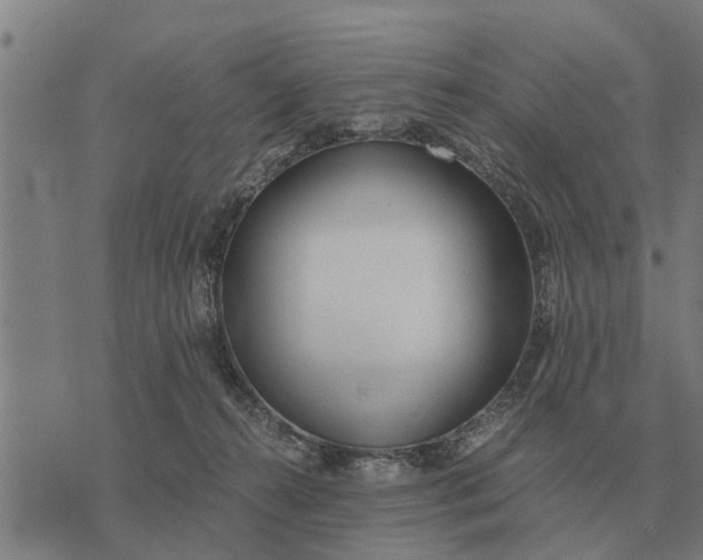 X0000073900272200609011726