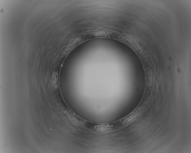 X0000073900273200609011726