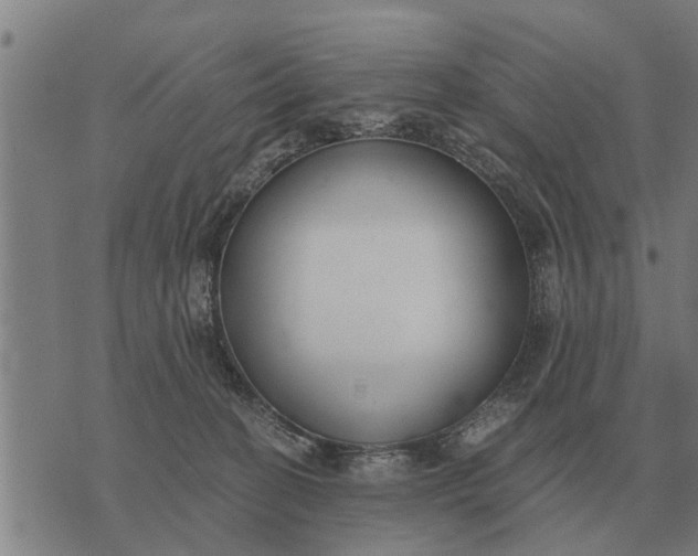 X0000073900274200609011726