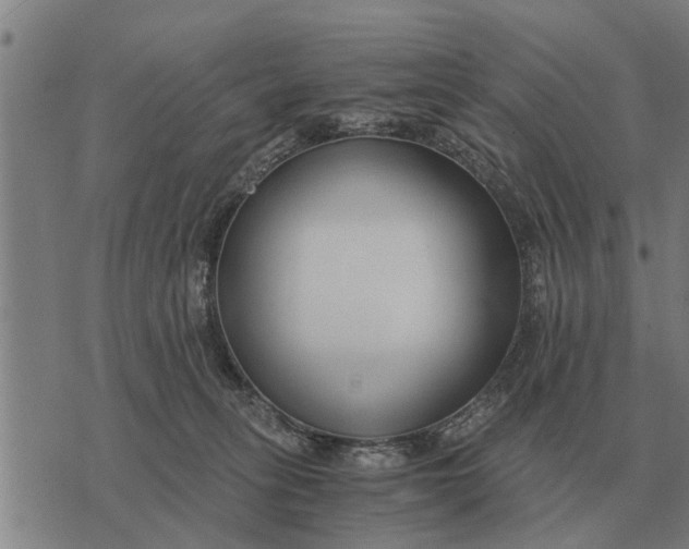 X0000073900275200609011726