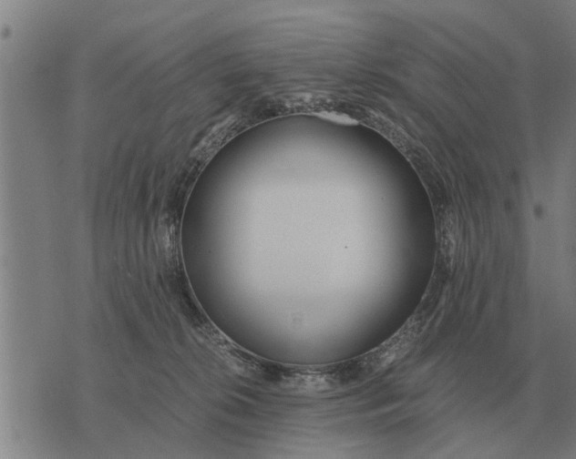 X0000073900276200609011726