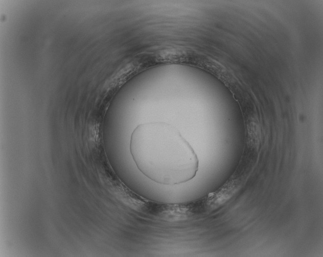 X0000073900278200609011726