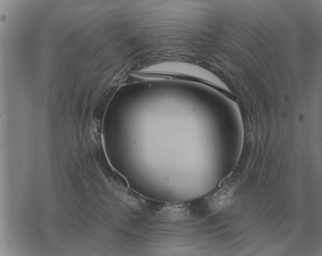 X0000073900280200609011726