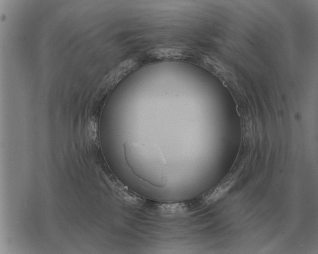 X0000073900281200609011726