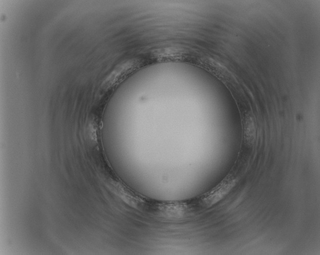 X0000073900282200609011726